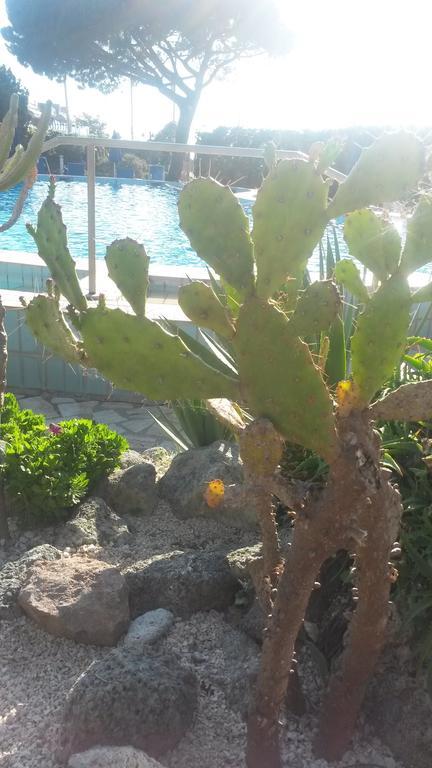 Forio di Ischia Hotel Costa Citara מראה חיצוני תמונה