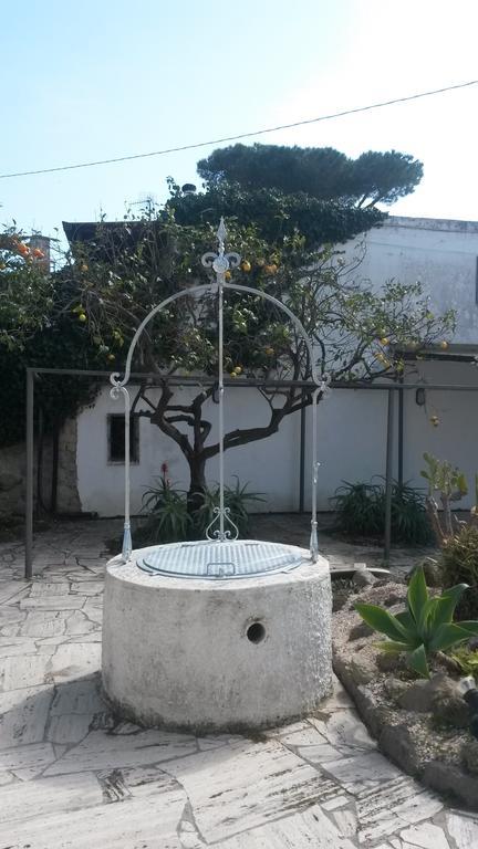 Forio di Ischia Hotel Costa Citara מראה חיצוני תמונה